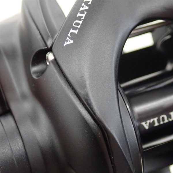 ２４タトゥーラＴＷ１００ＸＨＬ
